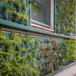 Giambellino green wall – lavori in corso APR2022 (0.1)