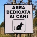 cani
