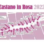 Cartina Castano in Rosa
