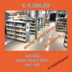 contributo MIC