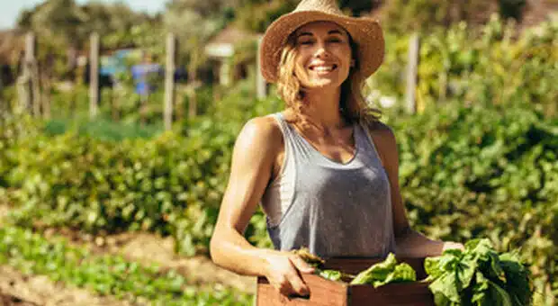 AGRICOLTURA TICINO NOTIZIE AGRICOLTURA DONNE TICINO NOTIZIE MAGENTA