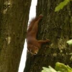 IMG-20220913-WA0041