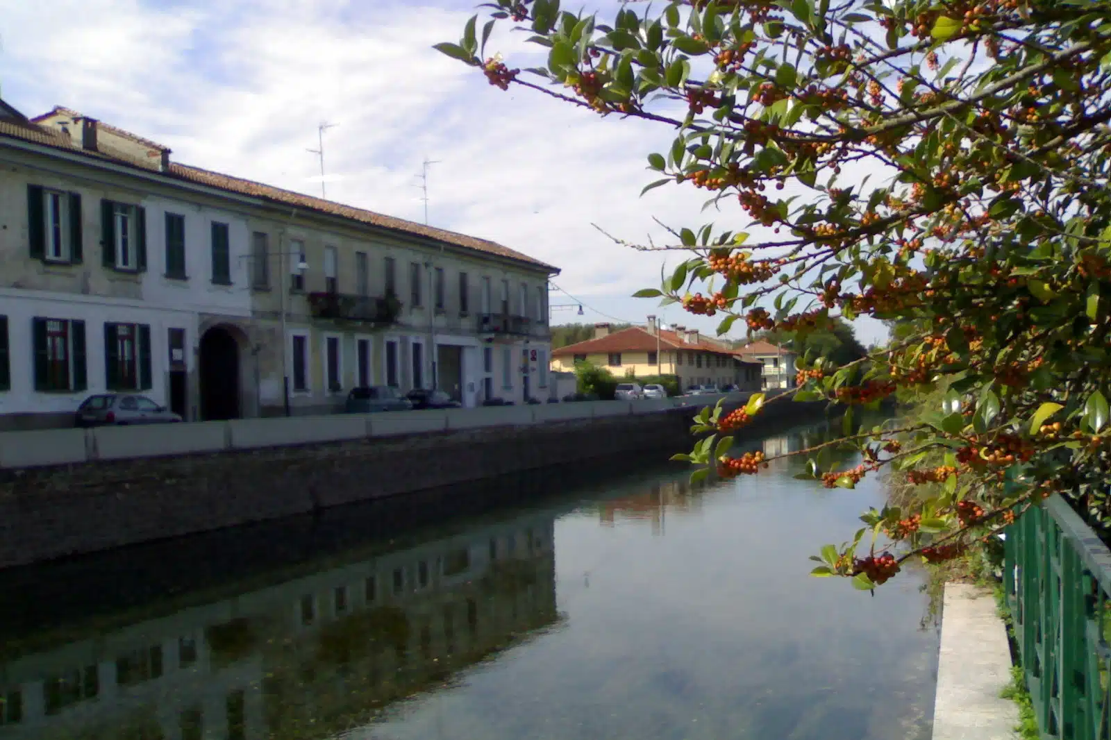 ALZAIA BOFFALORA TICINO NOTIZIE