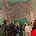 6910_besano_fossili_web