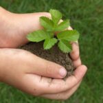 Piantiamo insieme-e1480428044251