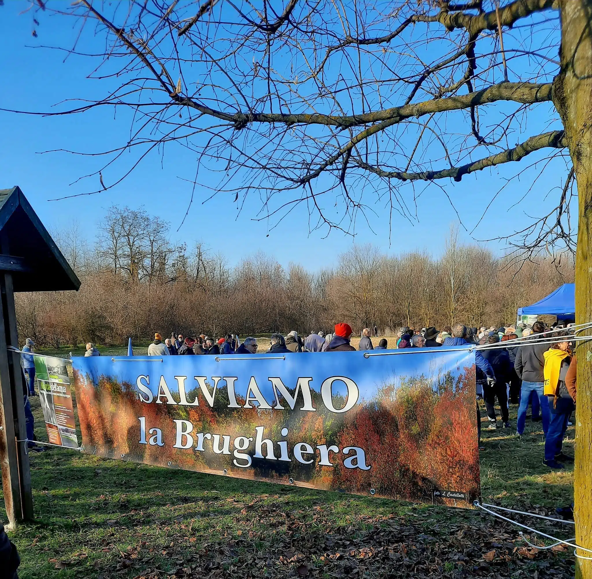 SALVIAMO LA BRUGHIERA