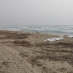 29e8e481-df64-4e80-a55e-3a5ea8eed9c1ok