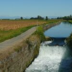 RISORSE IDRICHE TICINO NOTIZIE MAGENTA