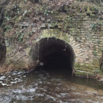 ROBECCHETTO VILLORESI