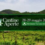 movimento cantine aperte