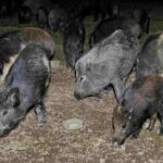 061b1722-e1ba-4e27-a9da-e6a52d112d8b-aspect-ratio-535-375