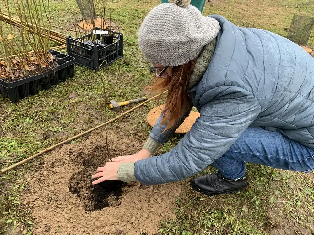 Forestami_Rosate_dic23_02