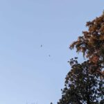 VIA-CARLO-PORTA-2-aspect-ratio-535-375