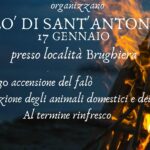 faba-aspect-ratio-535-375