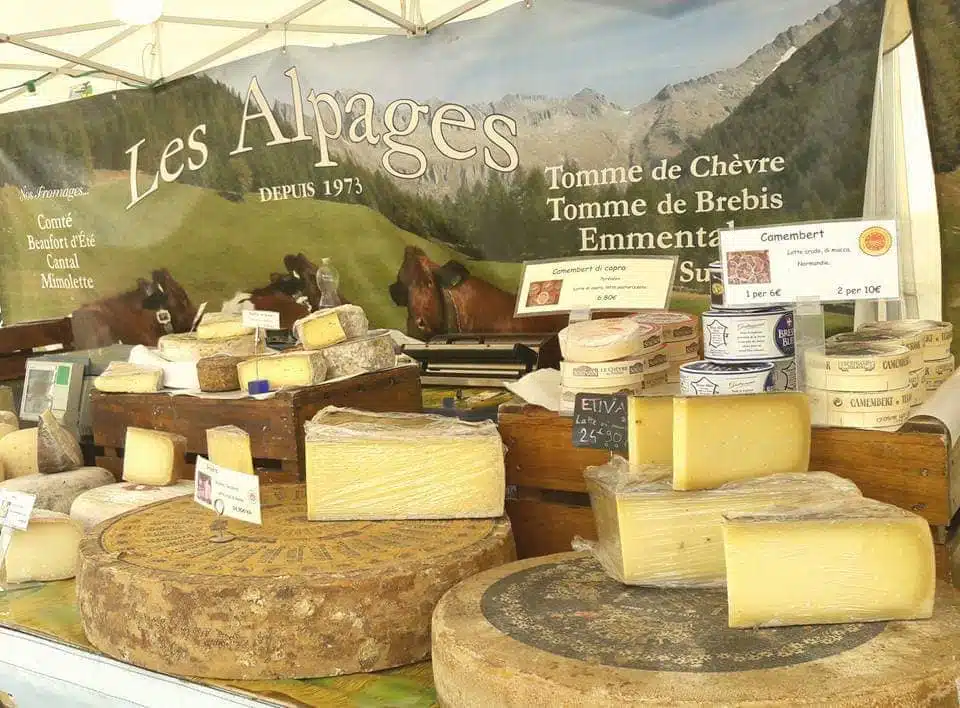 59875583_1247225812101990_1273974114167554048_n