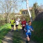 casterno2-1-aspect-ratio-535-375