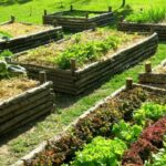 ortiurbani-aspect-ratio-535-375