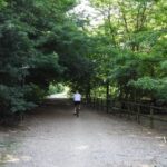 riccolo-aspect-ratio-535-375