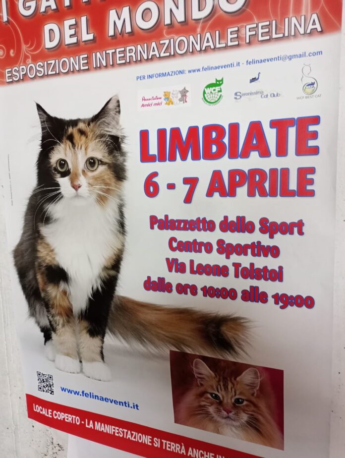 FIERA 2