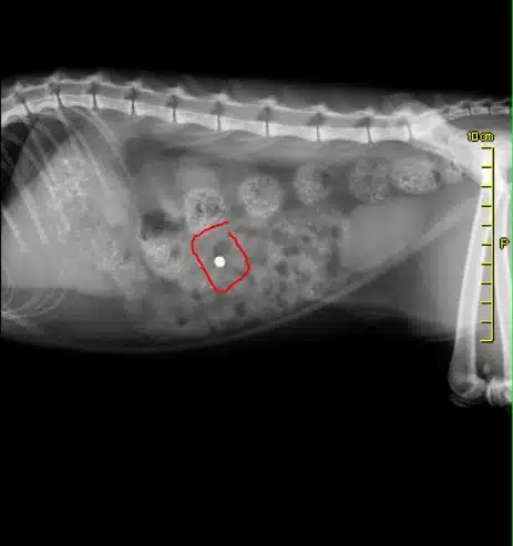 507bd81f-0eeb-46f8-95cb-ba5ecdf8b963