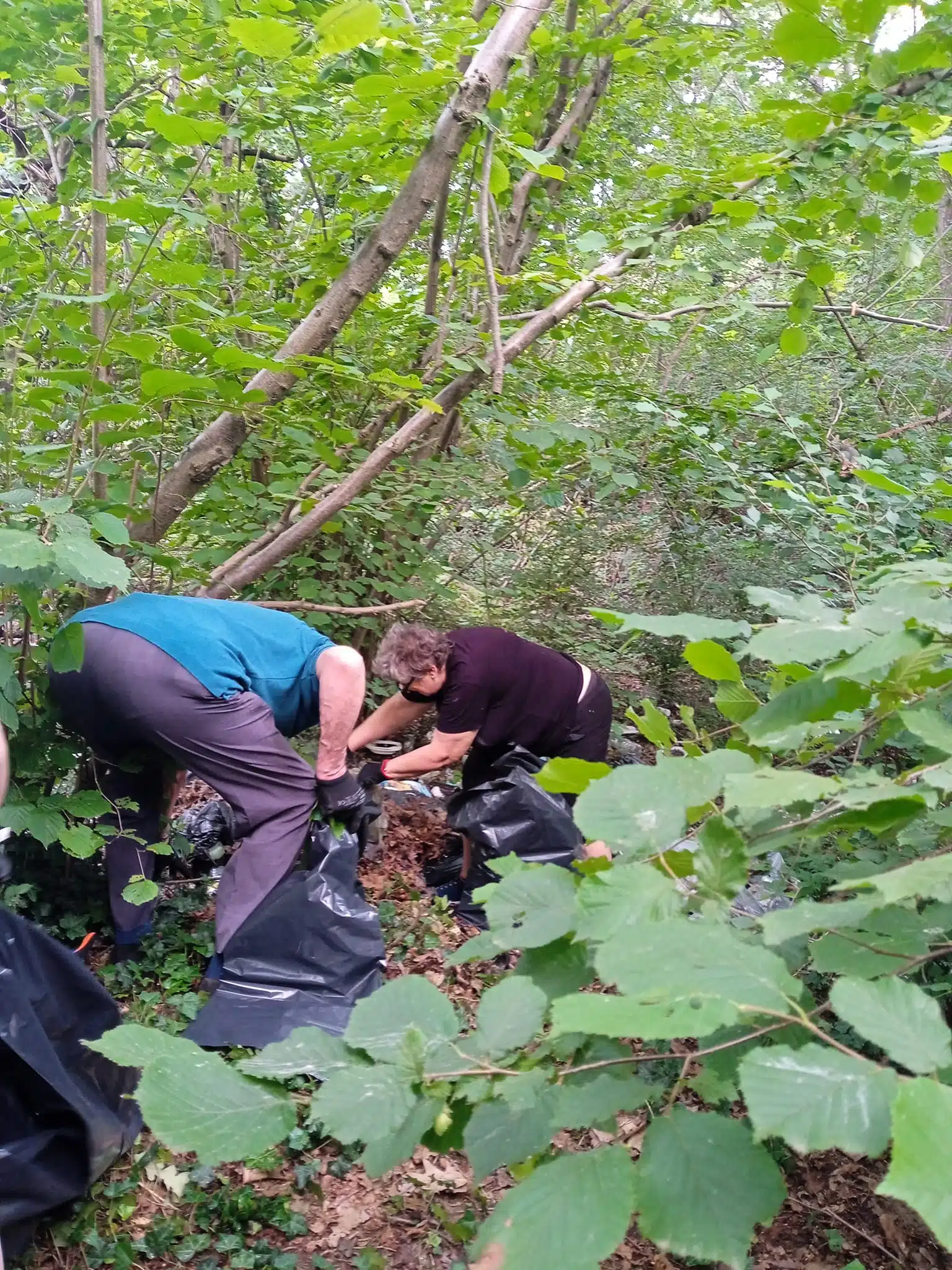 pulizia_Parco_Ticino_4