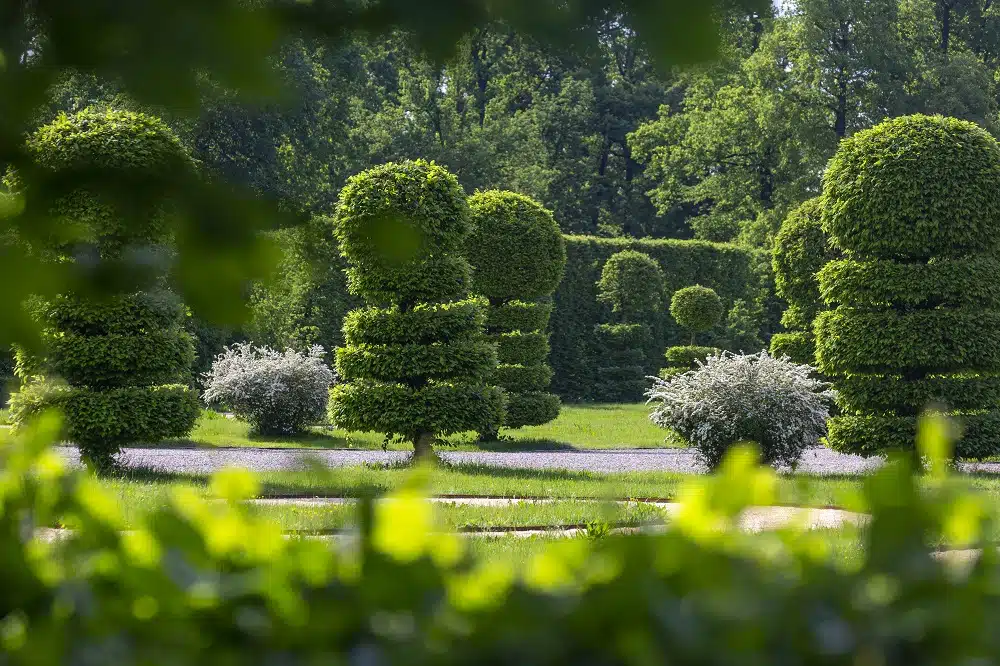 Parterre delle ballerine di Villa Arconati_ph. D. Fusaro