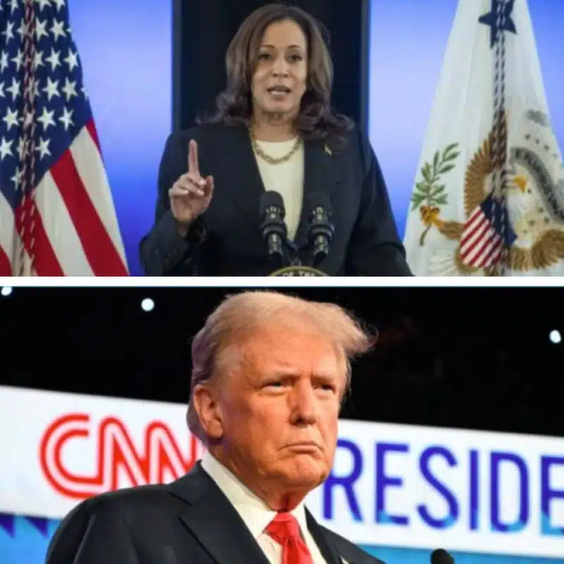 trump-harris