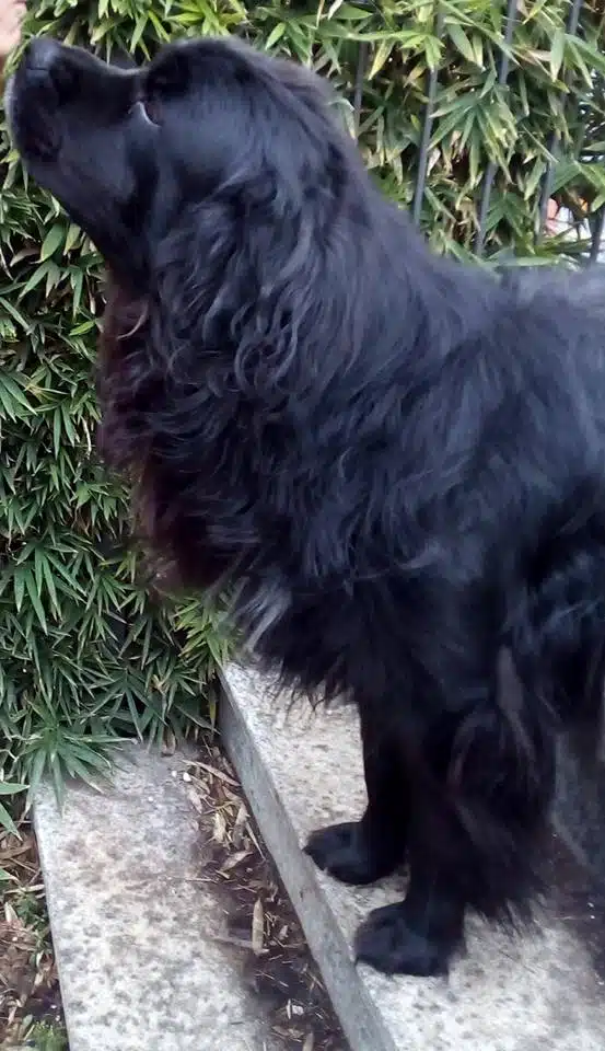 463335662_2762071880620301_6495161409627516739_n