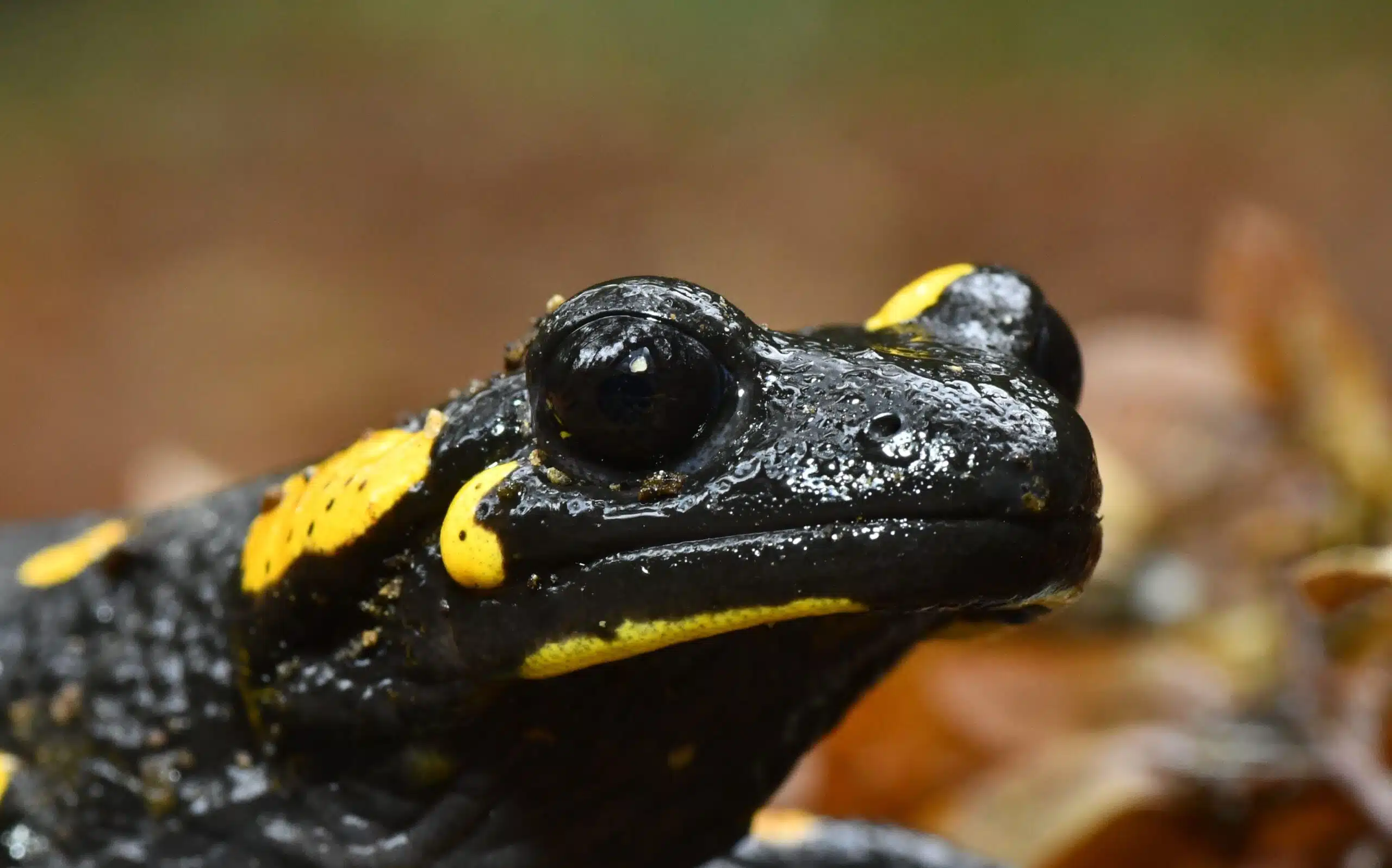 Foto di Valerio Lo Presti (1)