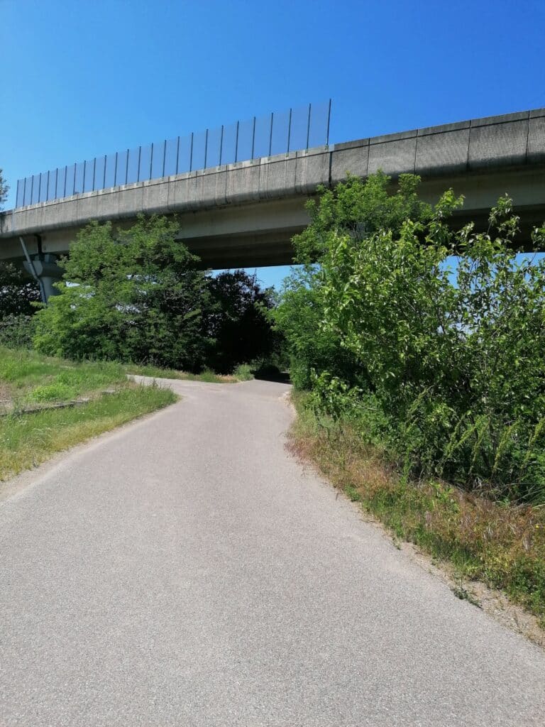 Pista ciclo-pedonale Arluno-Boffalora e incuria: qualcosa si muove….