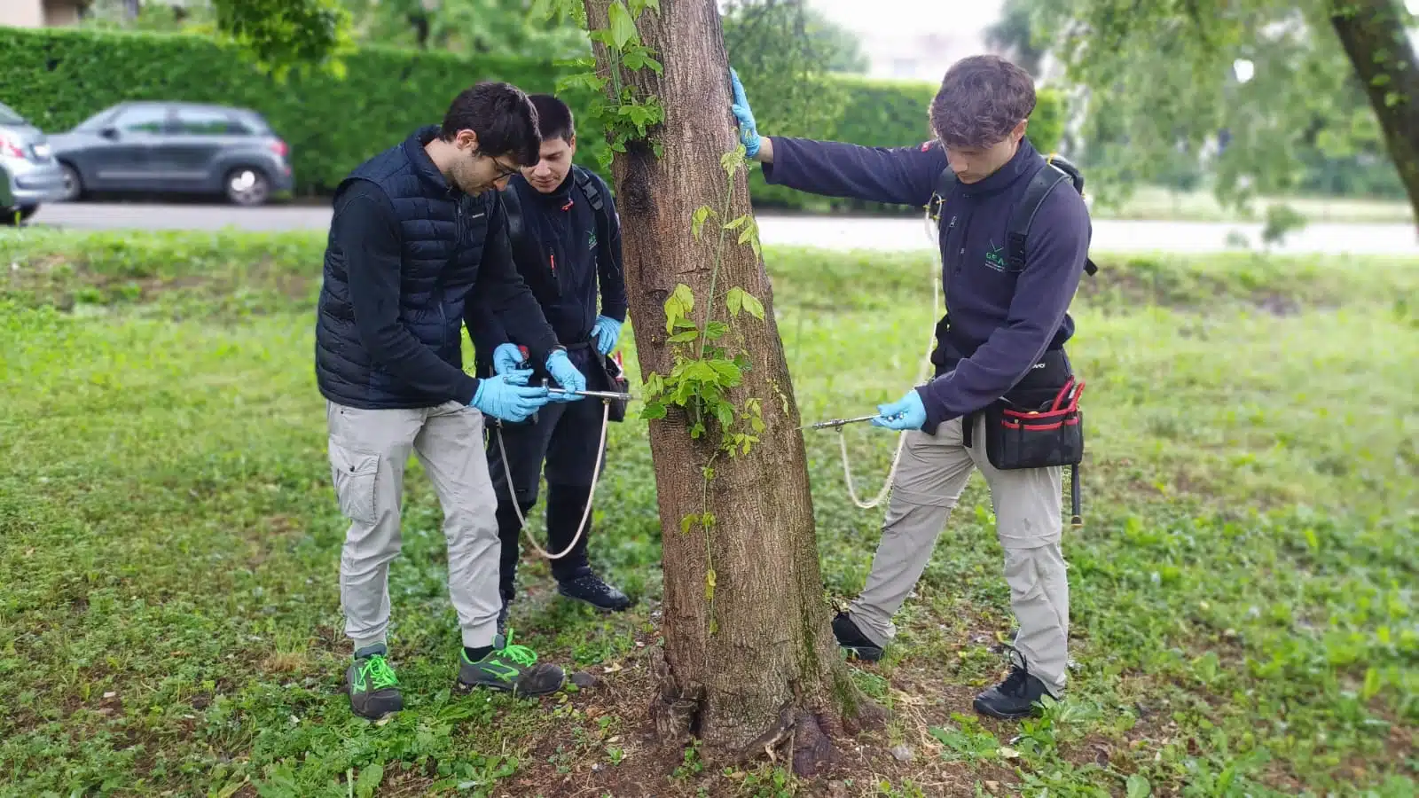 Intervento Magenta Infantria americana maggio 2025 - 2