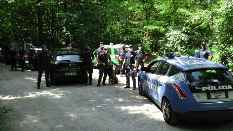 Pusher marocchino arrestato nei boschi di Appiano Gentile