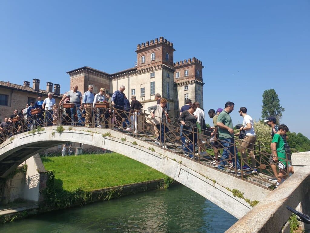 Robecco sul Naviglio: tempo splendido per San Majolo, alla fiera arriva anche la mula