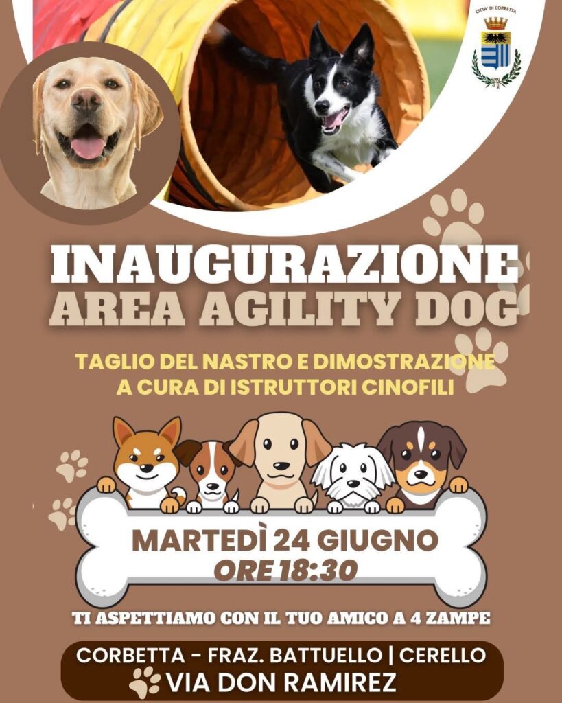 Corbetta: questa sera l’inaugurazione dell’area “Agility Dog” per i nostri amici a quattro zampe