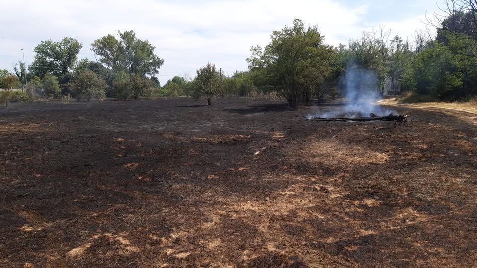 Pavia, a fuoco un ettaro nel Parco della Vernavola: tempestivo intervento e appello alla prevenzione