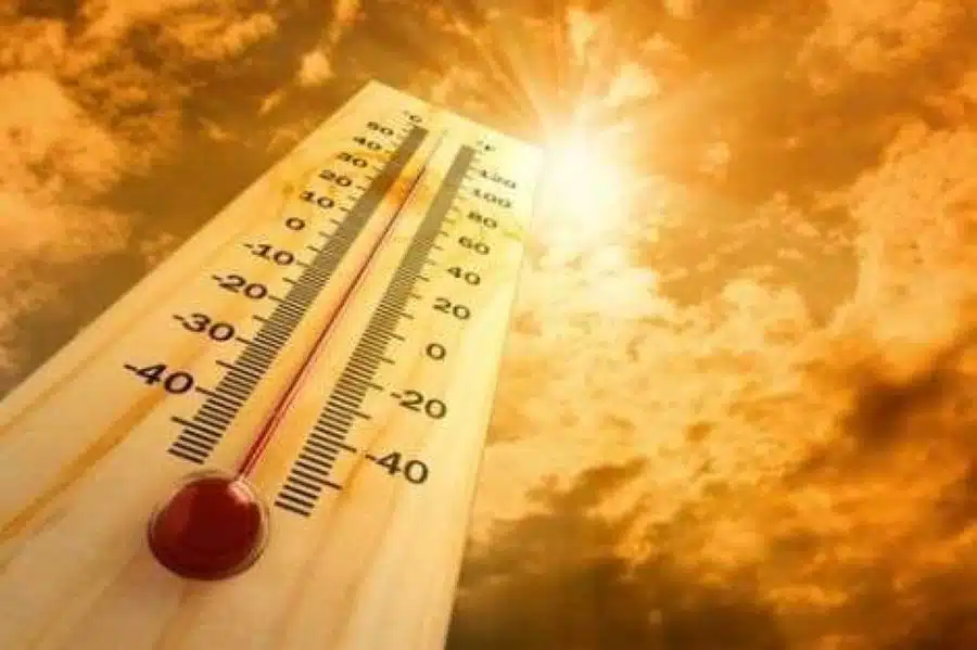 caldo