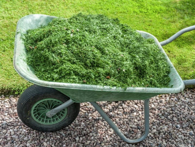 Dairago, dal 13 giugno ritiro a domicilio degli sfalci di verde