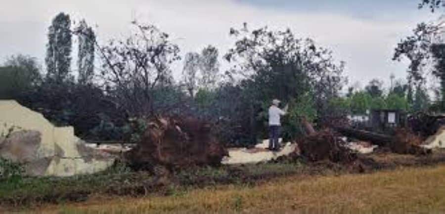 Nerviano: cimitero di Garbatola senza pace tra rifiuti e furti di cavi