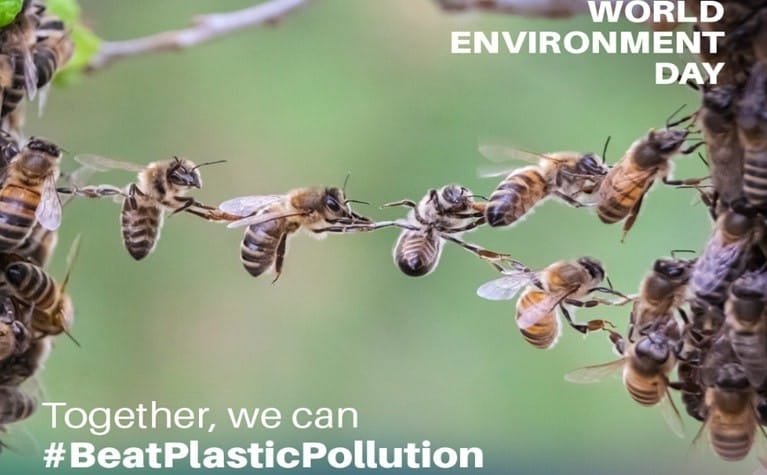 ALA e AMGA Legnano aderiscono alla Giornata Mondiale dell’Ambiente