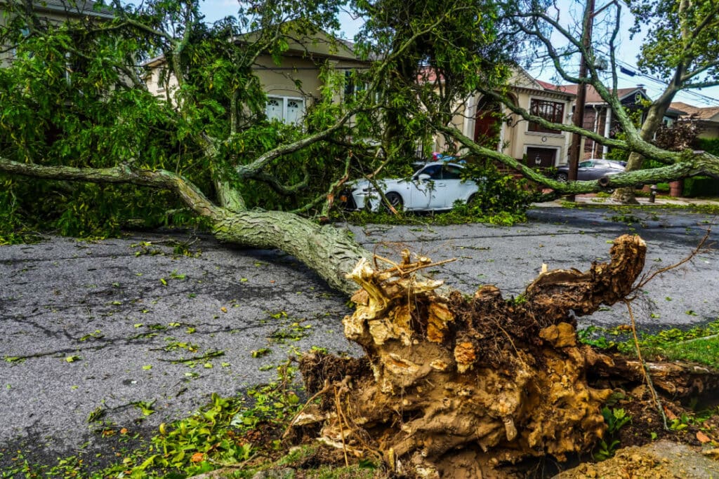 Maltempo 2023, 51 milioni di euro da Regione Lombardia: fondi ad Arconate, Bareggio, Buscate, Robecco