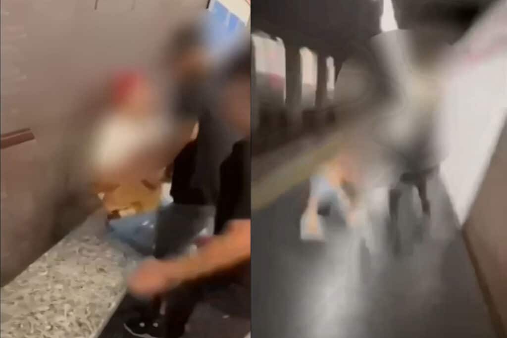 Aggressione fermata Conciliazione, Cecchetti: “Altro che critiche al Decreto Sicurezza, servono regole dure contro chi semina violenza”