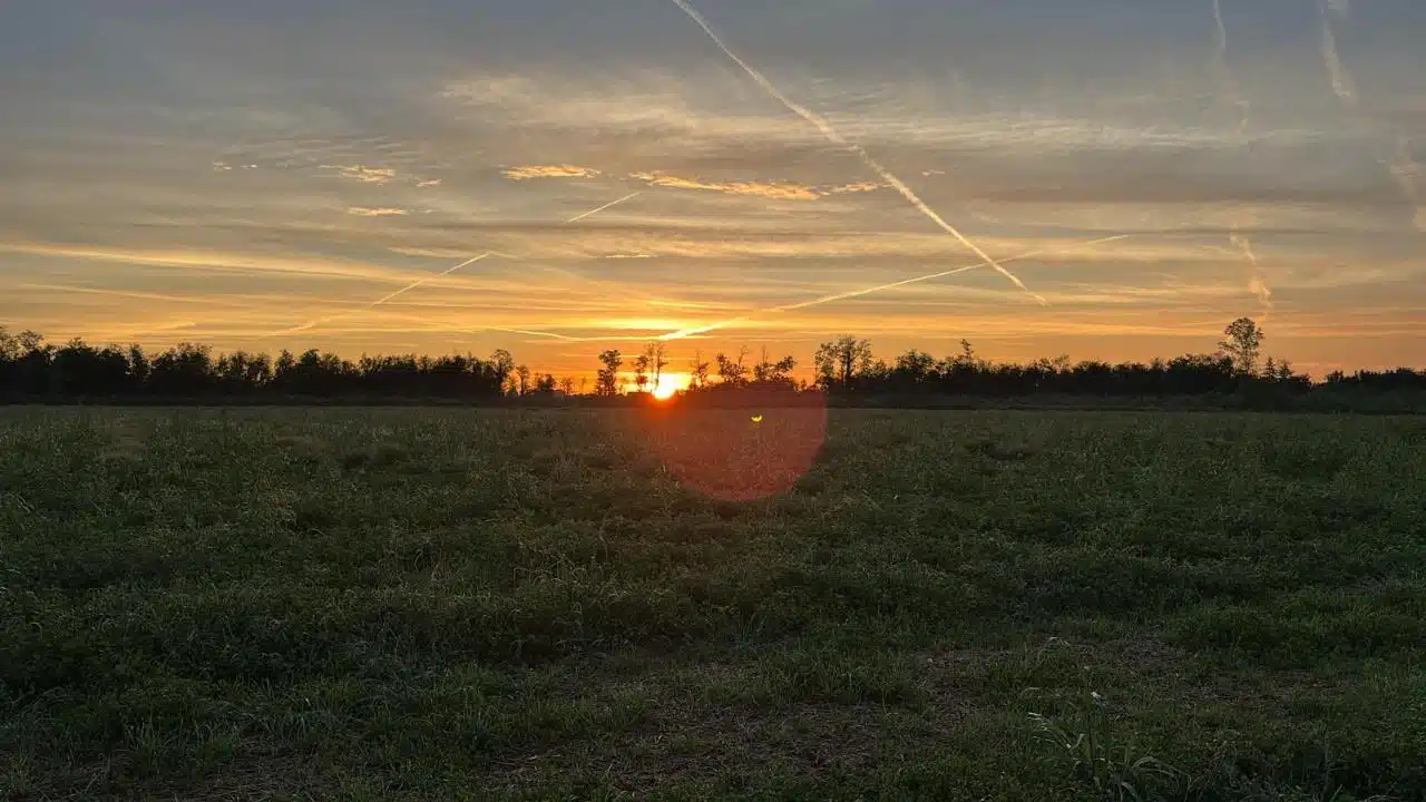 7875_Alba_parco_Roccolo