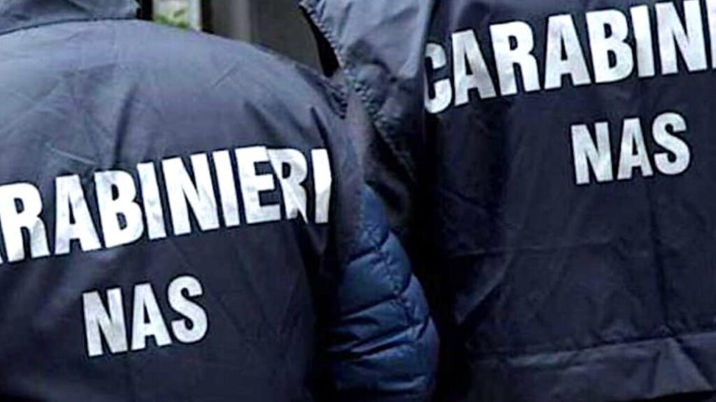 Controlli ad Abbiategrasso di Carabinieri e Nas: 50 identificati, 3 denunciati, 2 pub sanzionati