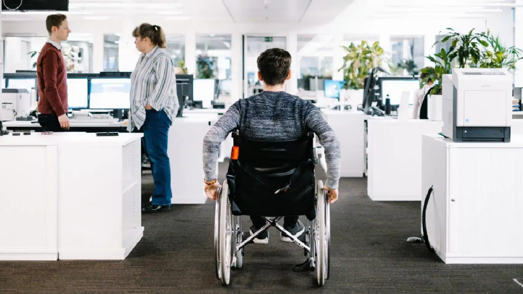 images_disabilita-e-lavoro