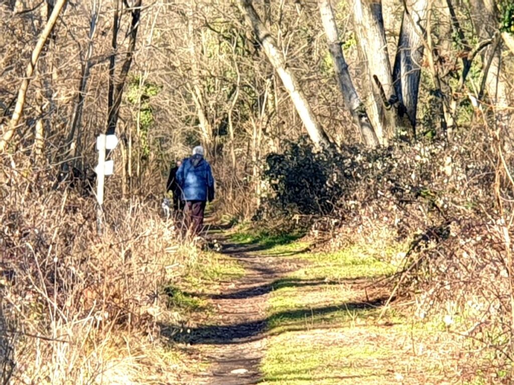 Magenta: colpi di fucile da caccia sull’auto, danno scoperto in officina