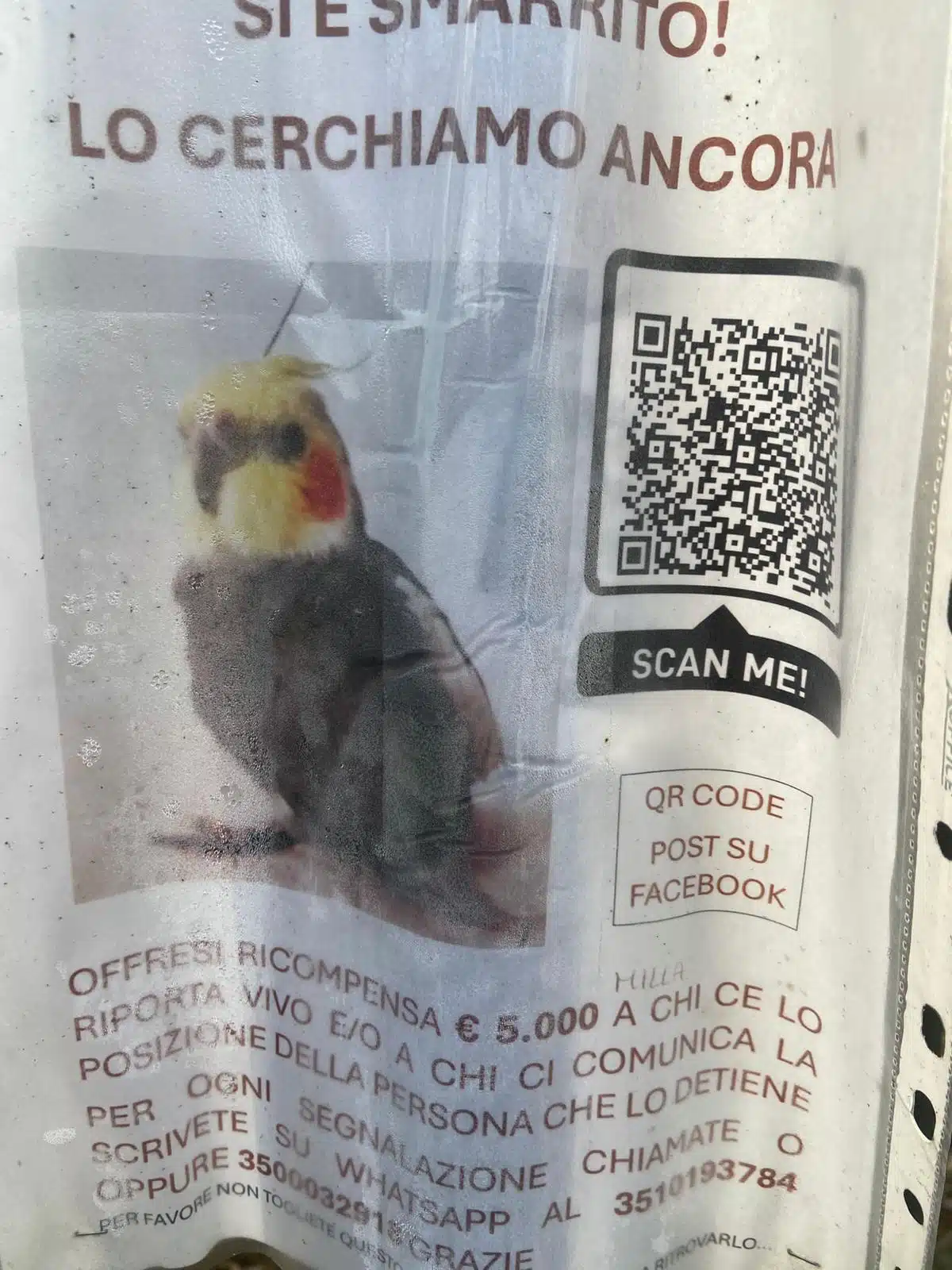 257e5b83-a28b-41d8-b29c-b43fa8aa24c4