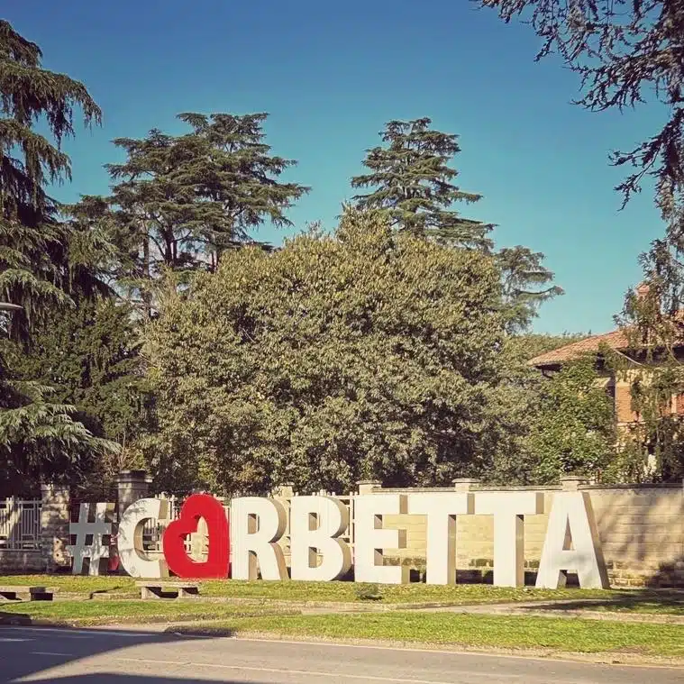 594067979_1219342776725941_7534374346779550764_n