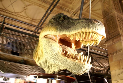 Migliaia di orme di dinosauri rinvenute in Parco Stelvio