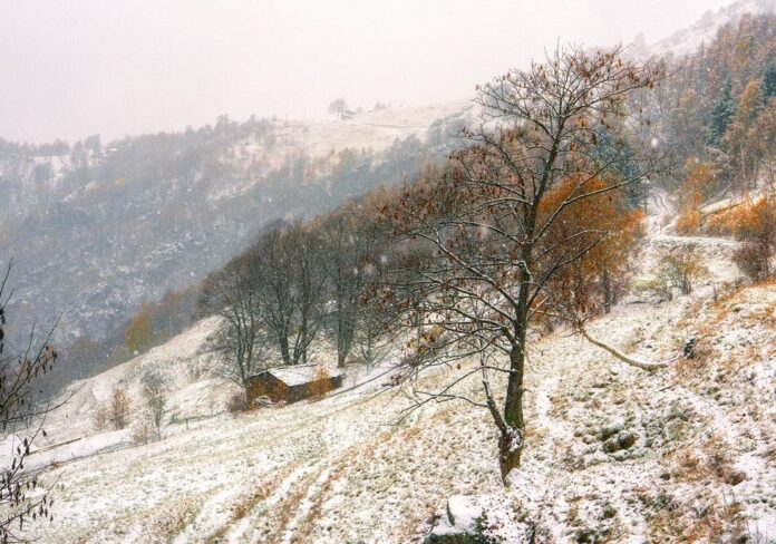 723cb869-ded3-4cd9-8efb-95b853b4d513-aspect-ratio-535-375