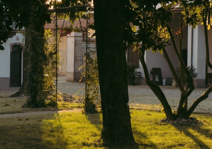 WhatsApp-Image-2025-12-10-at-17.28.47-aspect-ratio-535-375